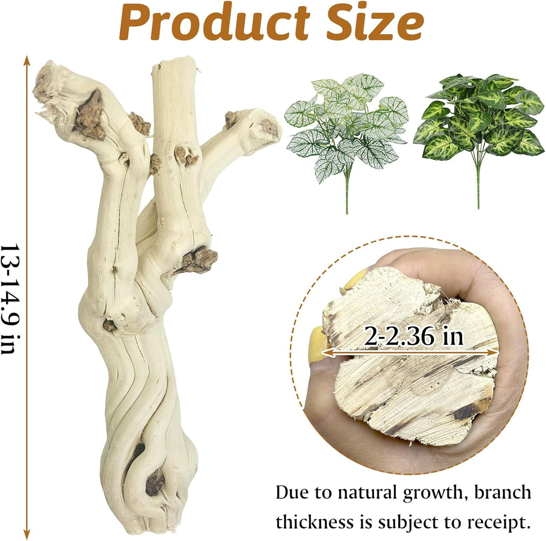 Snake Climbing Branch Wood Enclosure Decor Terrarium Logs