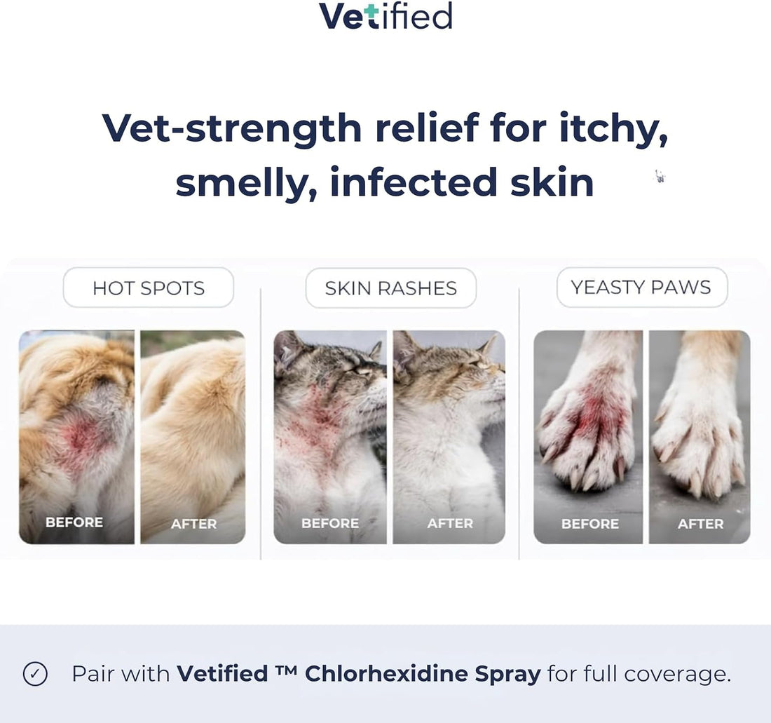 Chlorhexidine Shampoo 16 fl oz - NDC: 86247-002-16