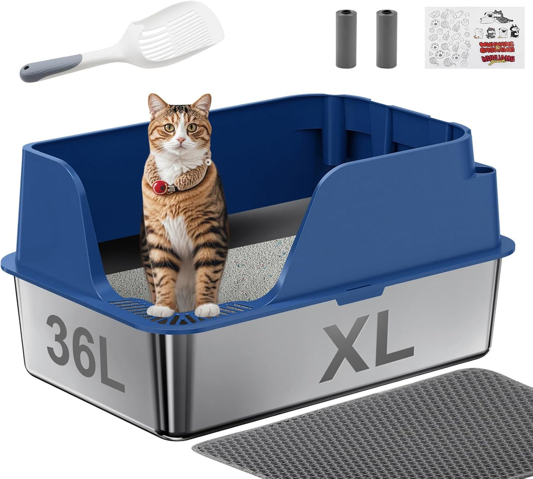 Open-Top Automatic Litter Box, Odor Control, Ready to Use