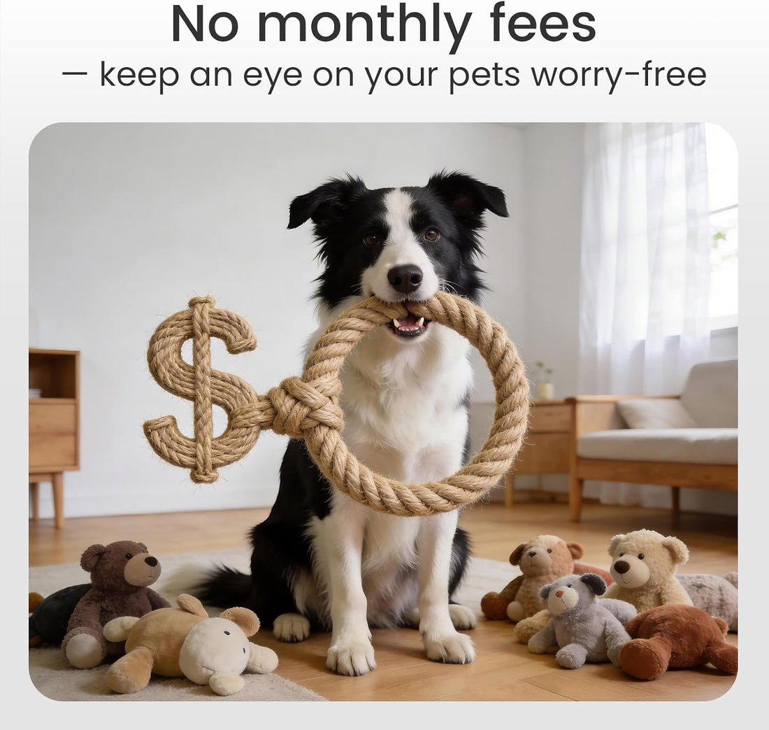 youkey 2.5K HD Indoor Pet Camera, Two-Way Audio Chat to Your Pets