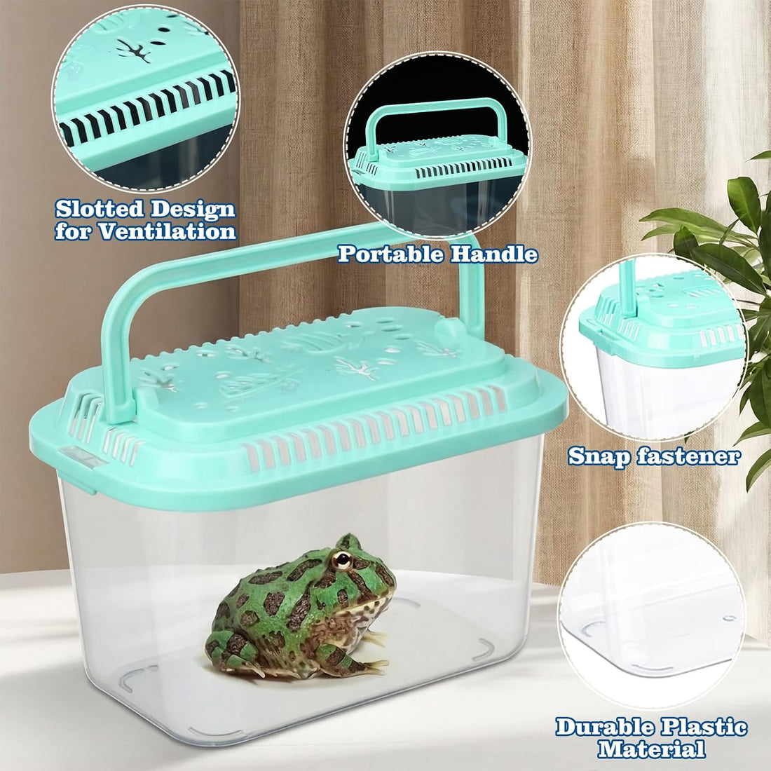 Leinuosen 12 Pcs Small Fish Tank Bulk Plastic Reptile Terrariums
