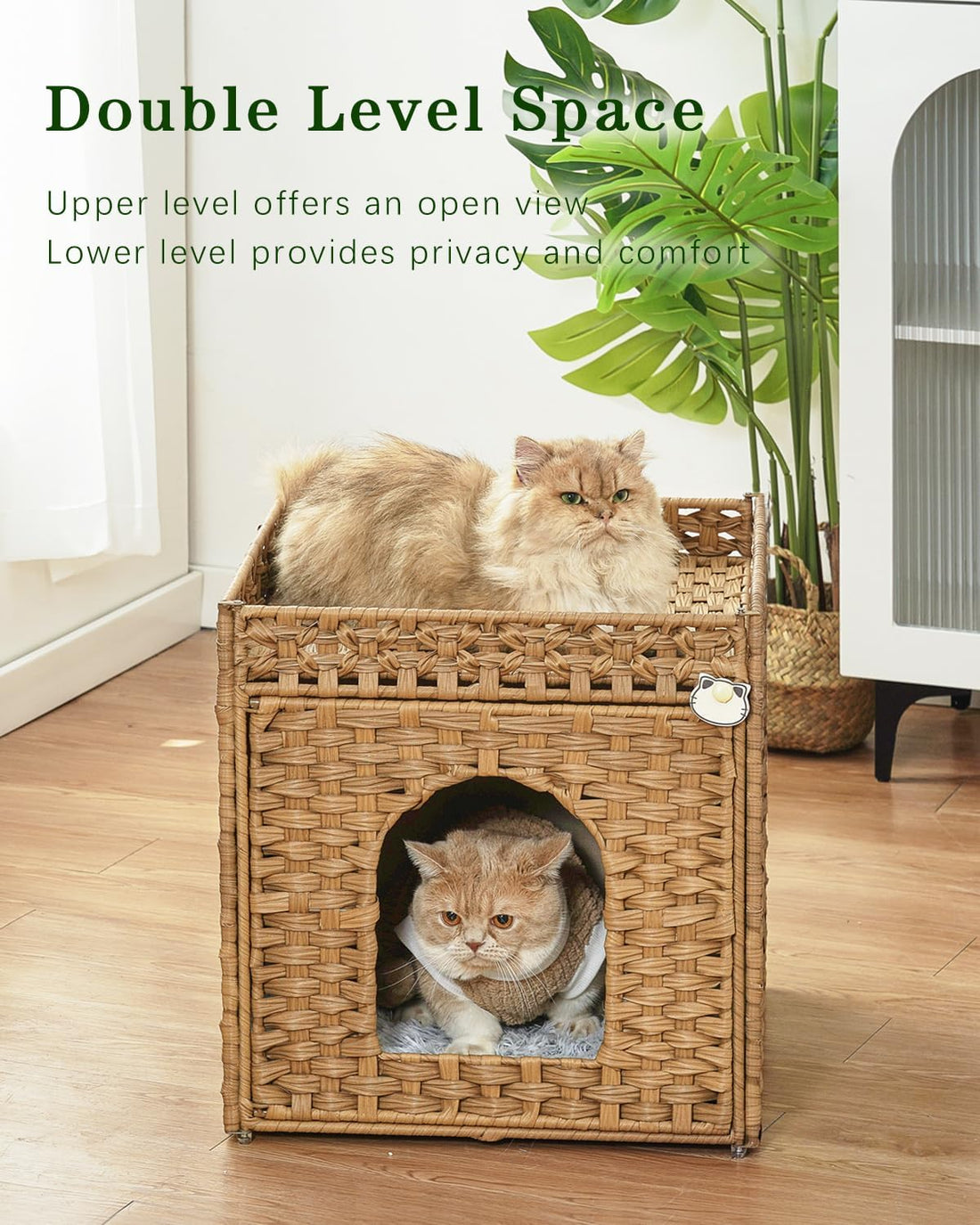 SETVSON Cat Beds for Indoor Cats Extra Large Double Cat Cave