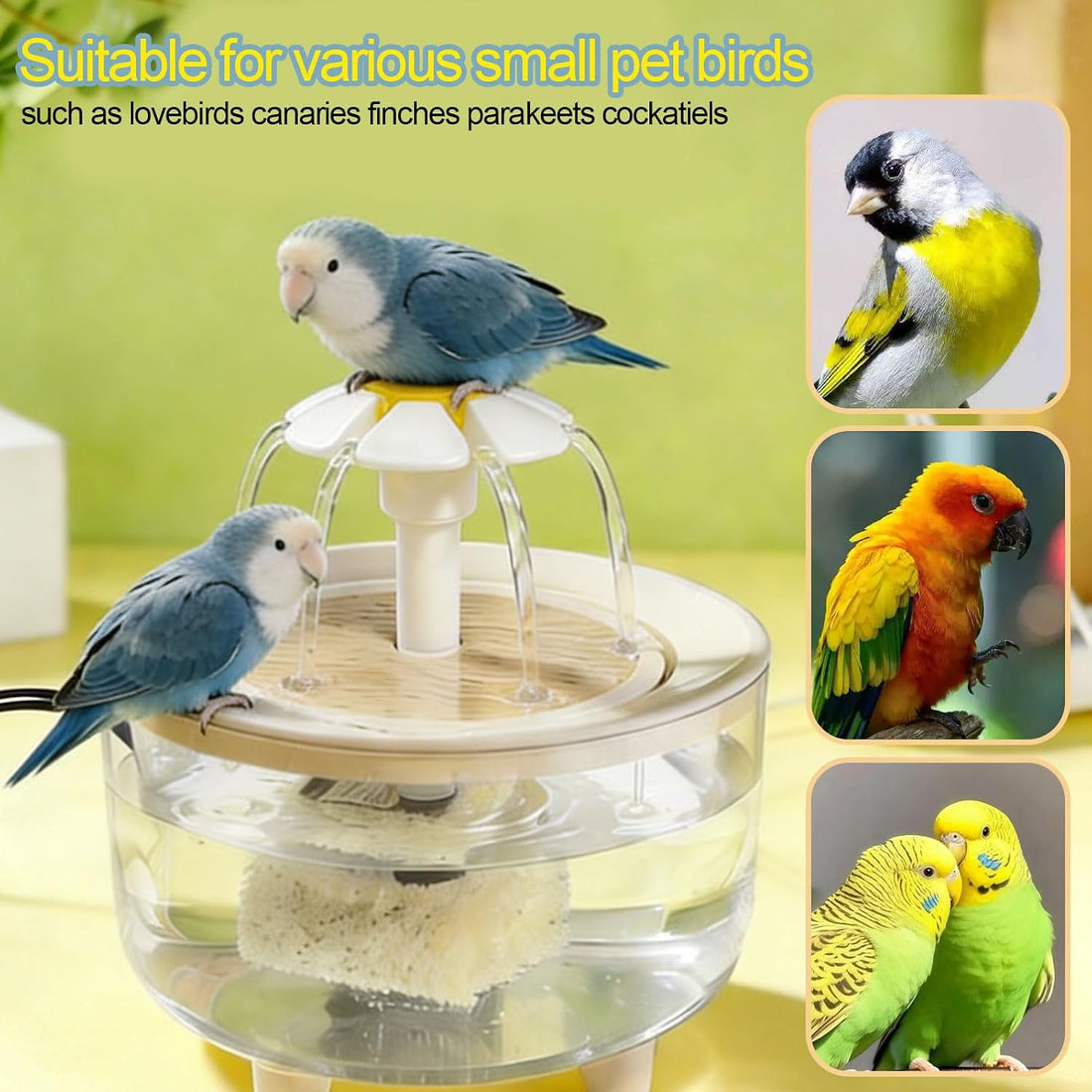 kathson Automatic Bird Bath Shower Fountain for Parrot Bathing