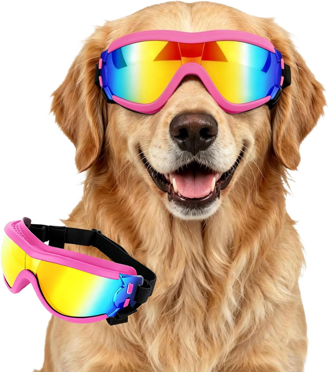 Enjoying Clear Dog Goggles Medium to Large Breed
