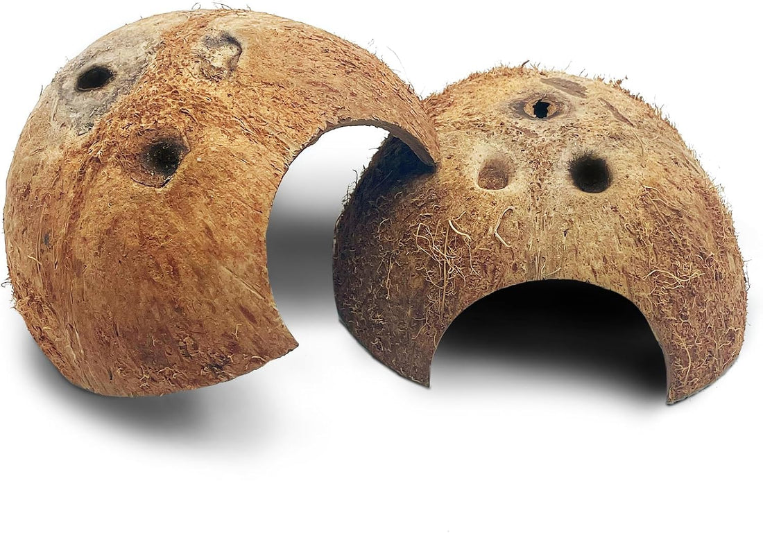 PINVNBY 2 PCS Natural Coconut Reptile Hideouts Lizard Coco Hut Hermit