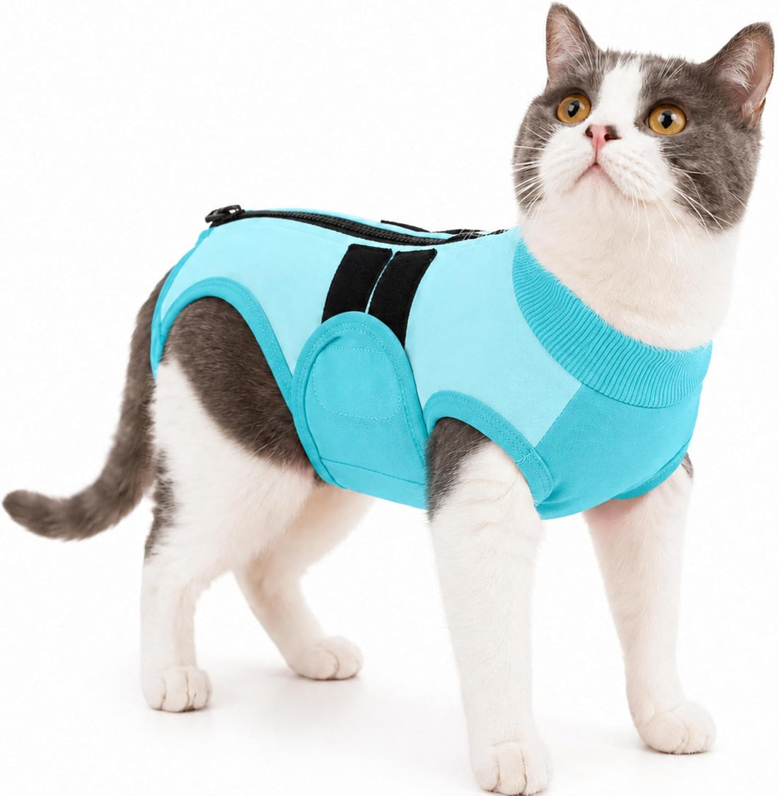 PUMYPOREITY Soft Cat Onesie Surgery Suit for Spay Recovery