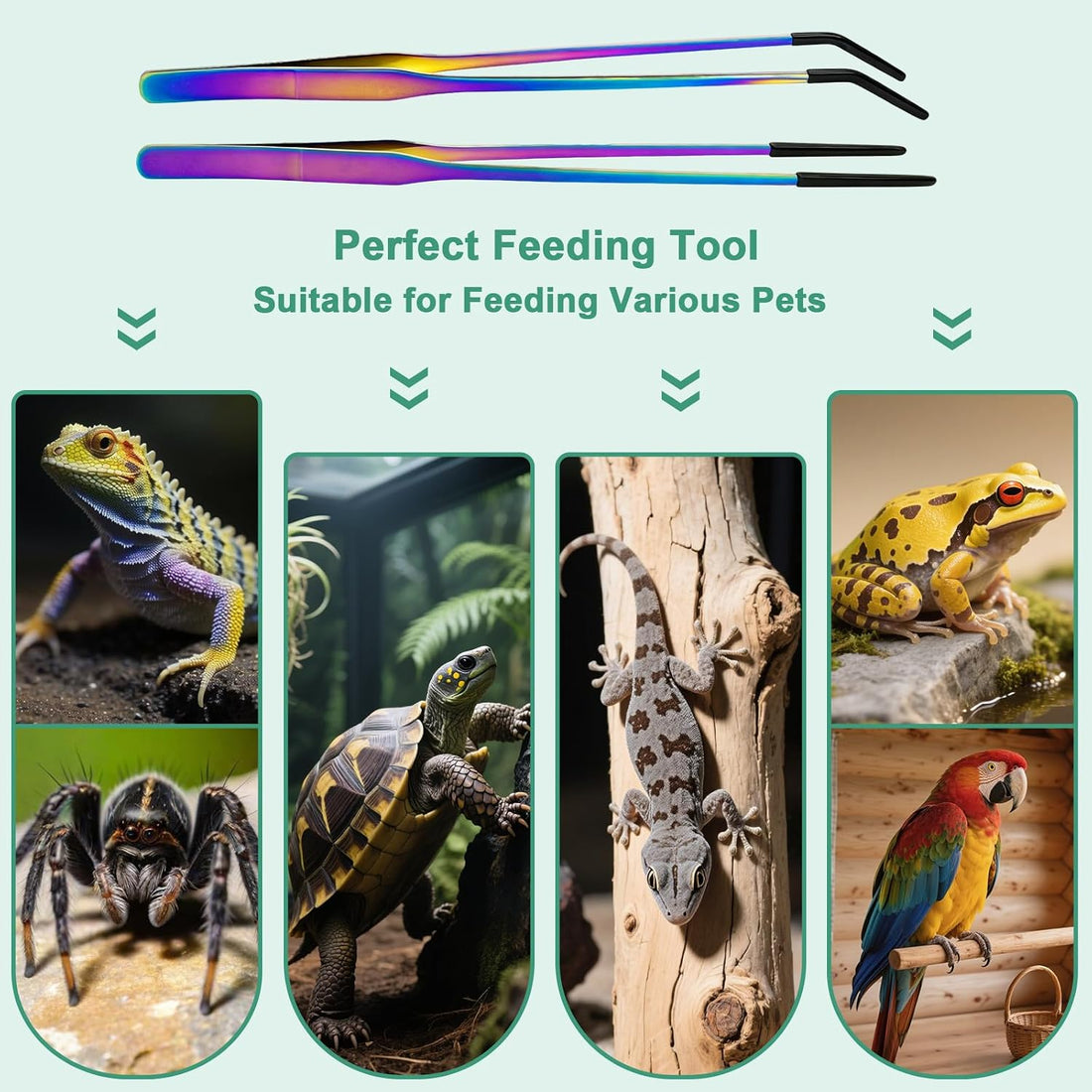Syn-zer Reptile Feeding Tongs, 10.6" Straight & Curved (Multicolor)