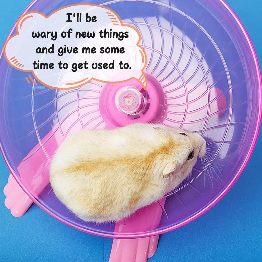 Nanaborn Hamster Wheel Silent for Cage Hermit Crab Tank Accessories