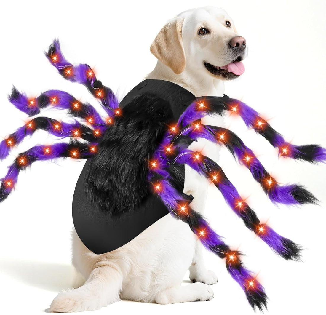 Halloween Light up Spider Dog Costumes for Small Medium Large Dogs
