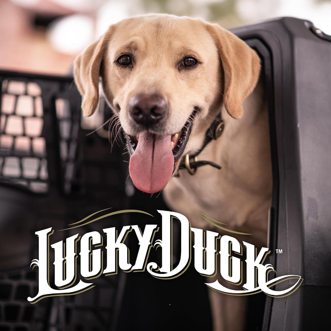 Lucky Duck Weather Protection Kennel Cover, Intermediate, Storm Grey