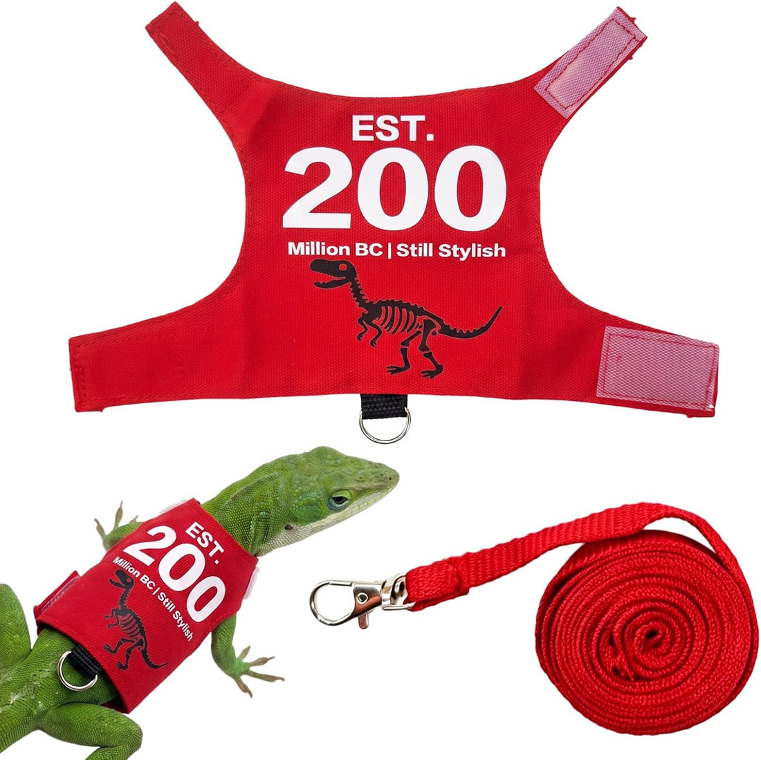 Bearded Dragon Harness and Leash Set
