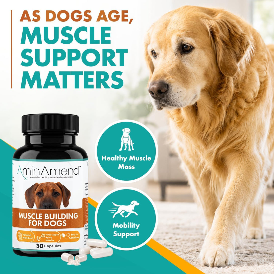 Small Dog & Cat CaHMB Muscle Support Capsules, Vitamin D3, 30 Ct