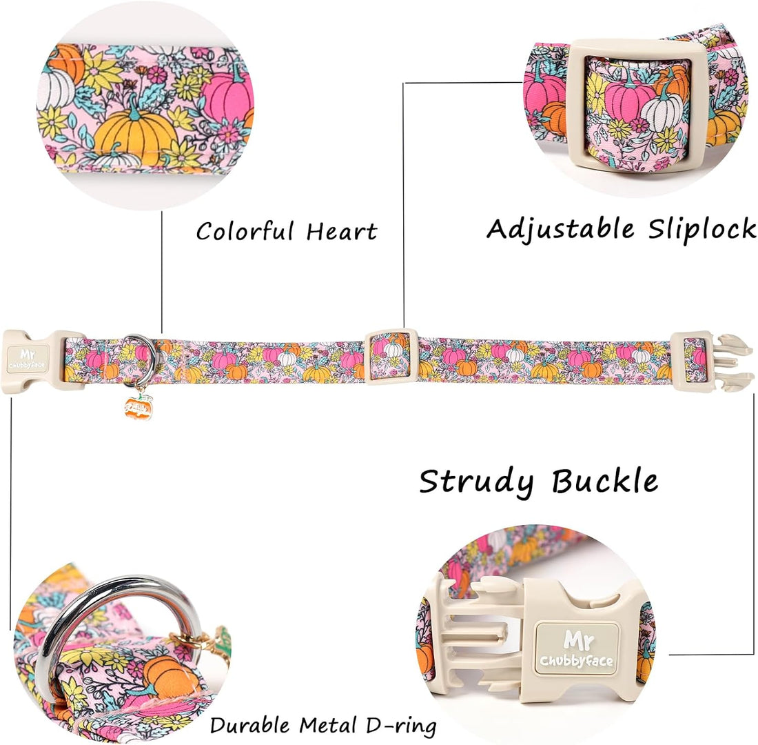 ·MR. CHUBBYFACE· Halloween Flower Pumpkin Dog Collar for Small Dogs S