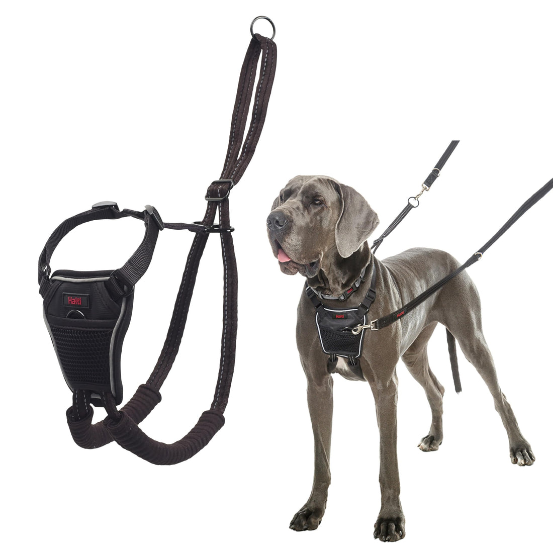 Halti No Pull Dog Harness | Size L, Black