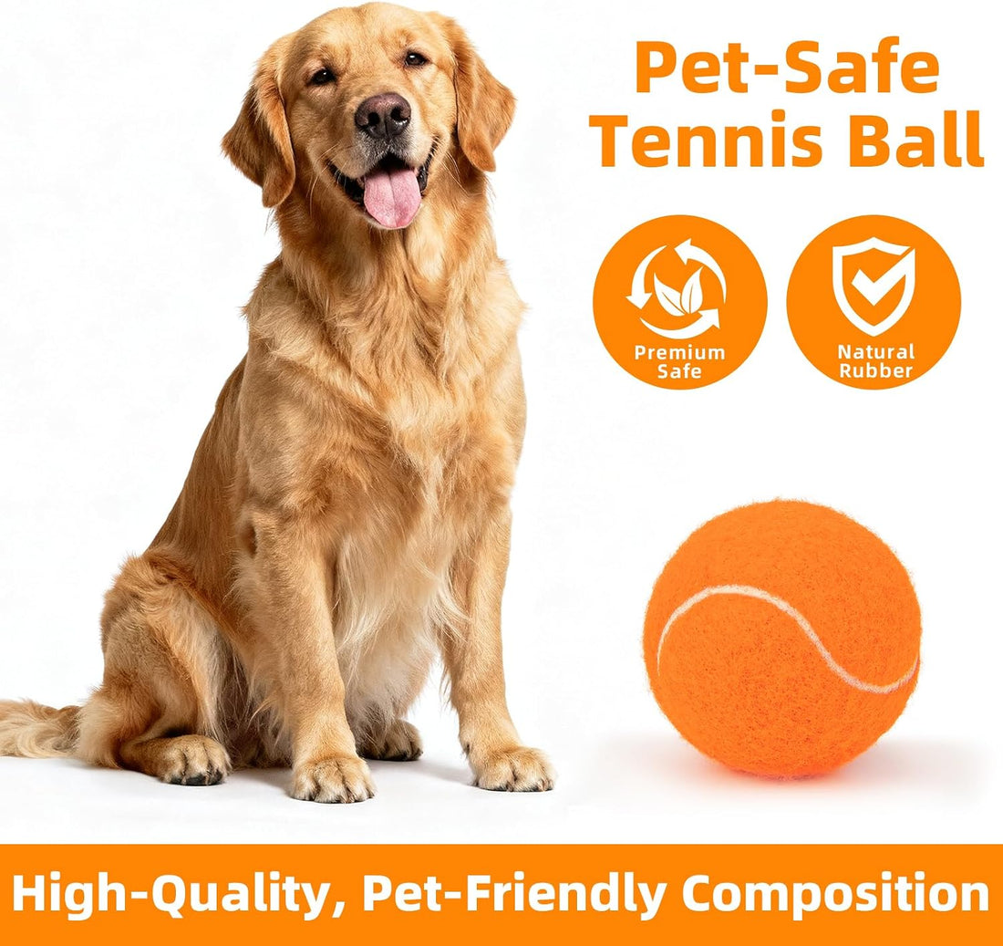 Sunraymascota 6-Pack Tennis Balls for Dogs Fetch Toys,for Beginner
