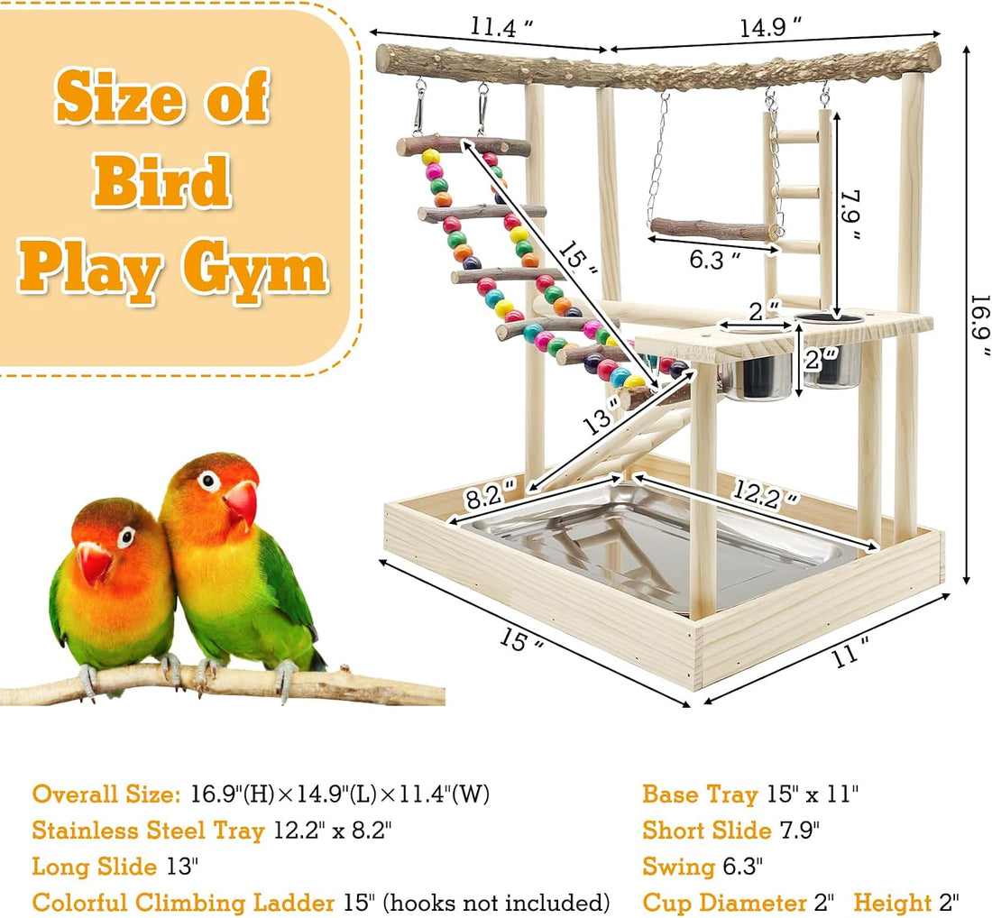 Hamiledyi Bird Playground Parrots Wood Perch Stand Cockatiel
