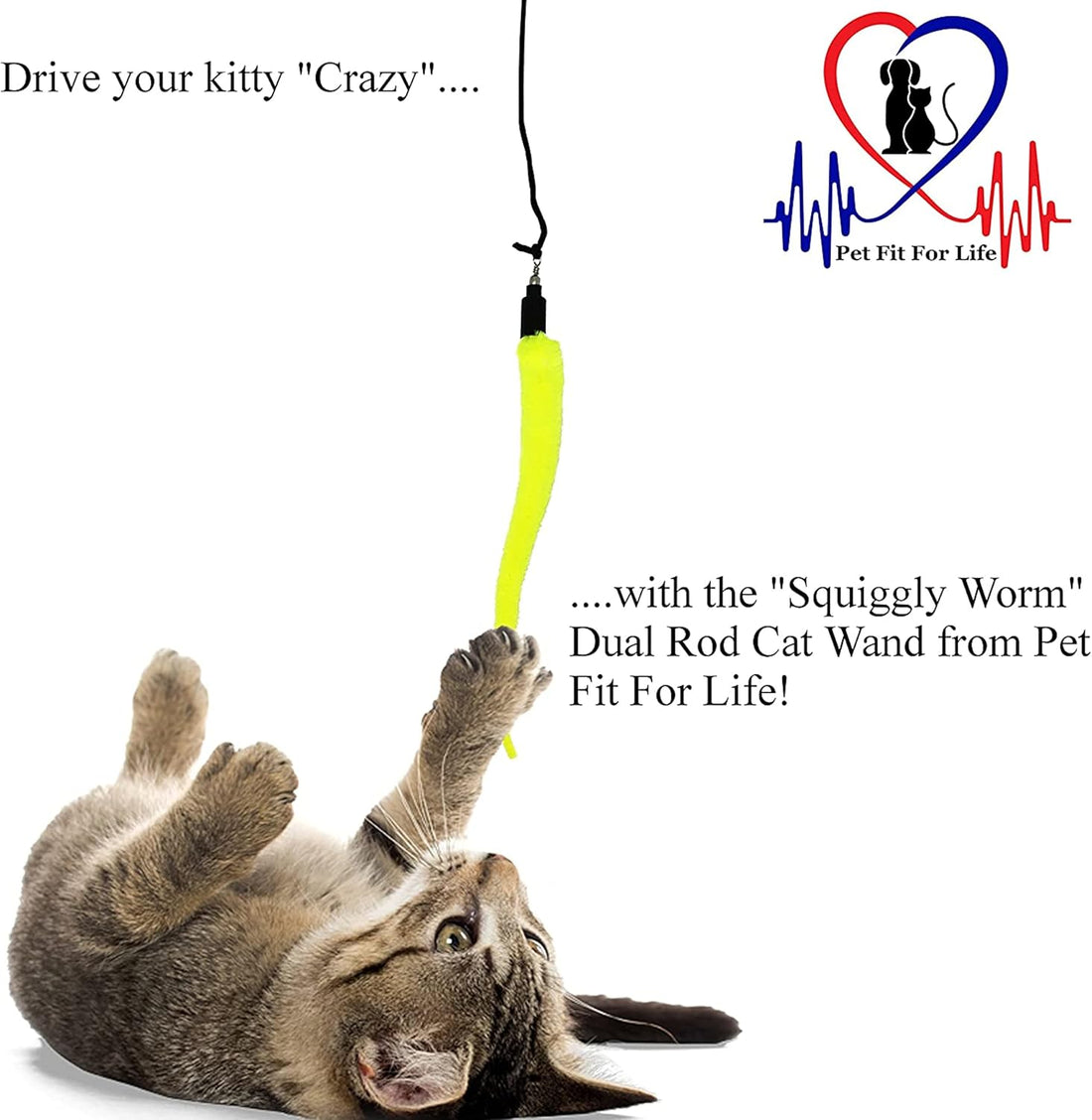 Pet Fit For Life Cat Wand Toy, 5-Piece Worm Teaser & Exerciser