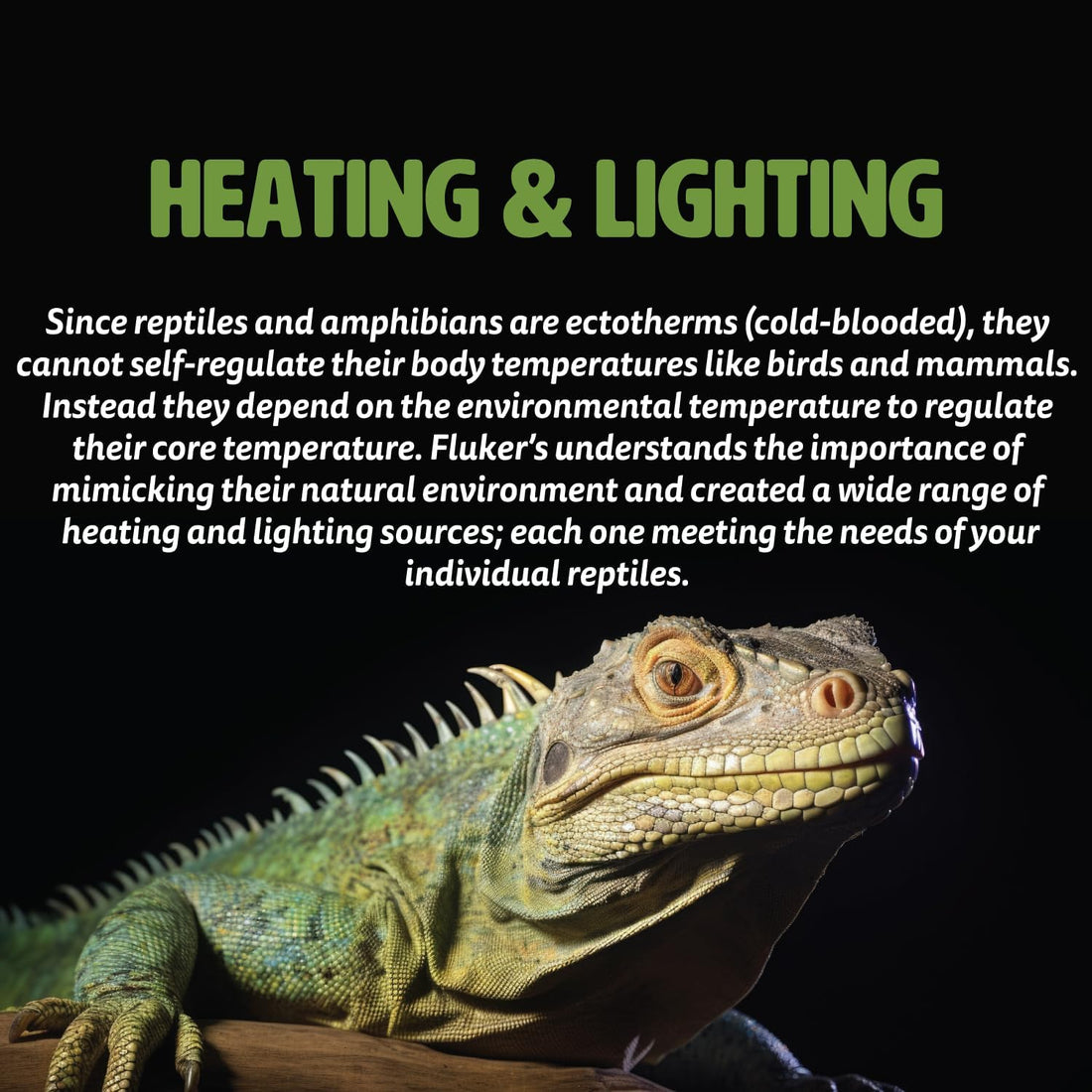 Fluker's Repta-Clamp Lamp, Heavy Duty Clamp Light For Reptile Tanks
