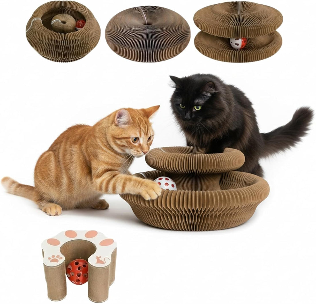 Cat Scratcher Toys for Indoor Cats