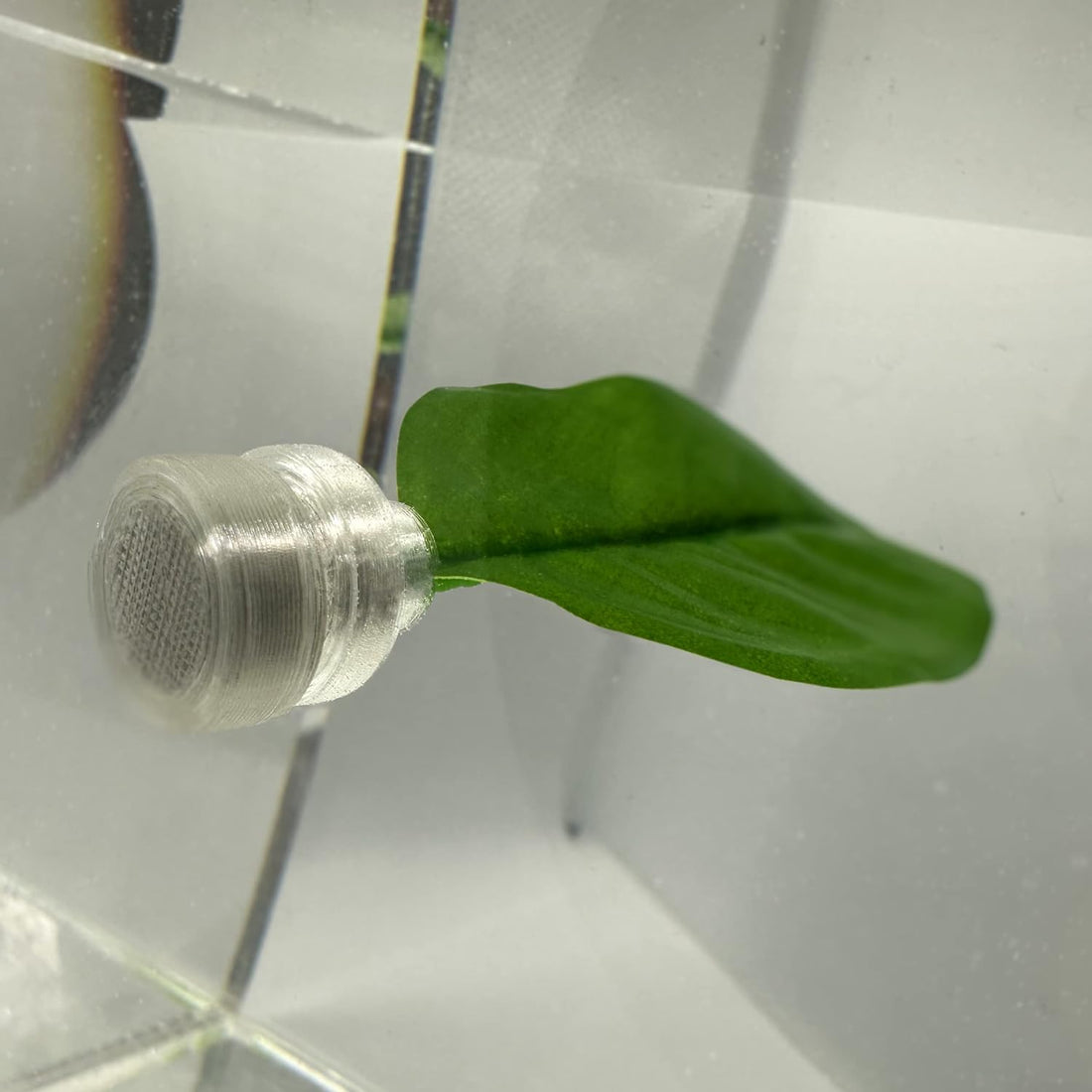 Magnetic Betta Leaf Hammock Bed for Aquariums and Fish Tanks
