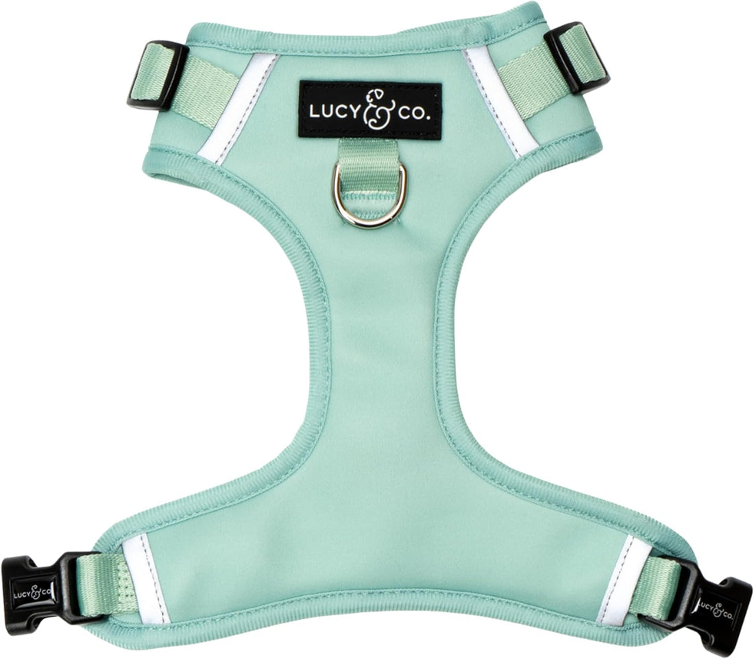 Lucy & Co. Appley Ever After Corduroy No-Pull Dog Harness, XL
