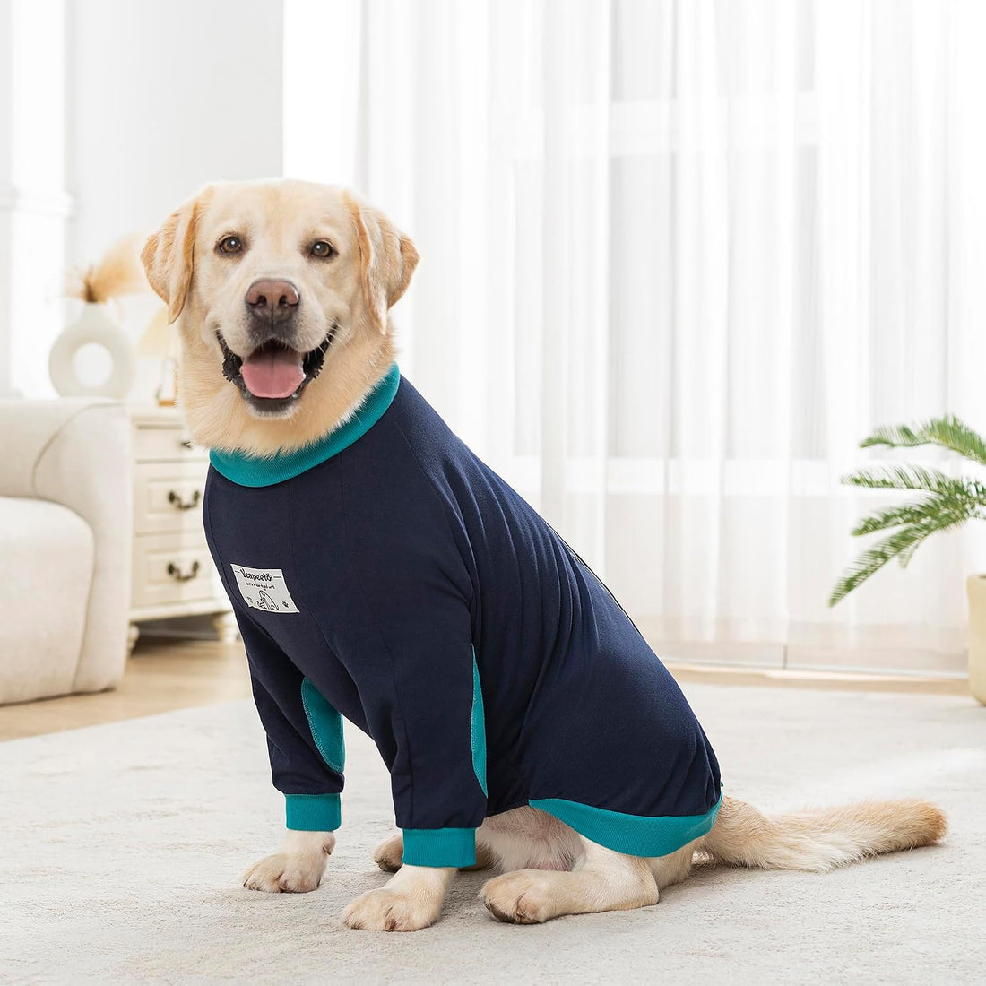 Dog Shirts Elbow Protector Front Legs