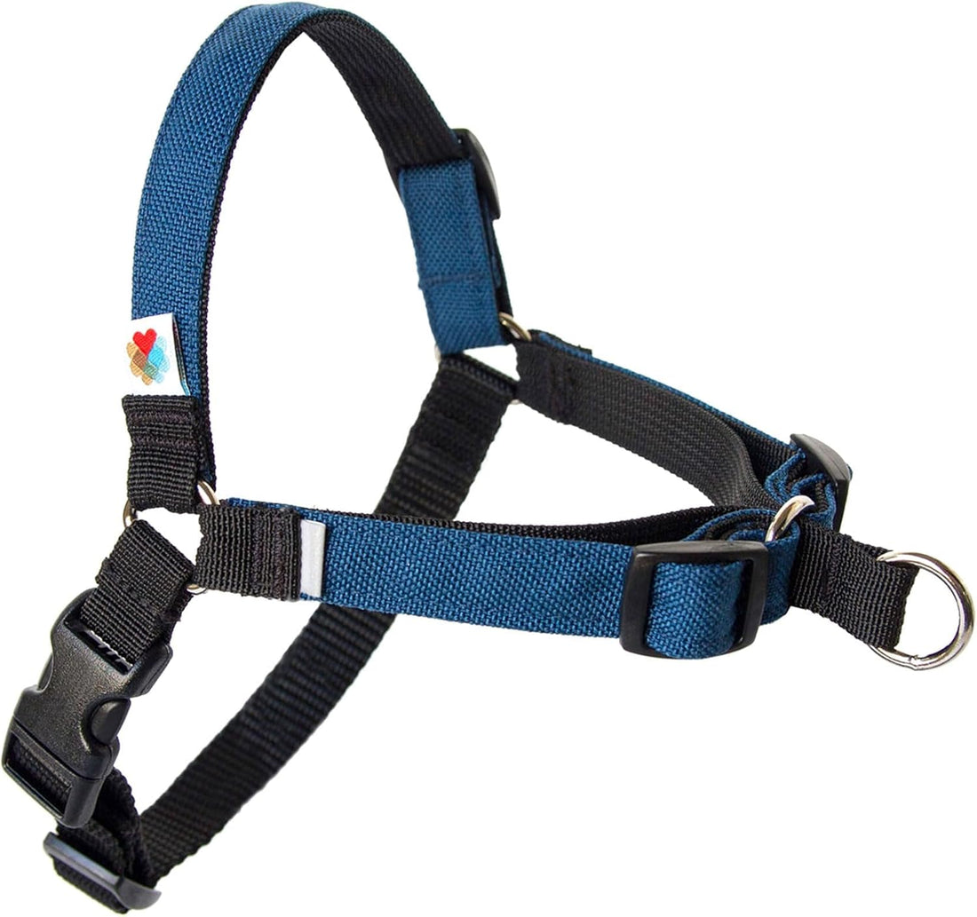 Wildebeest No Pull Dog Harness | Comfortable Training Harnesses
