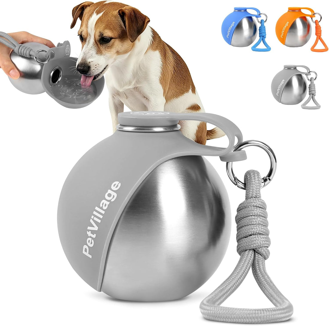 2-in-1 Dog Water Bottle with Foldable Bowl