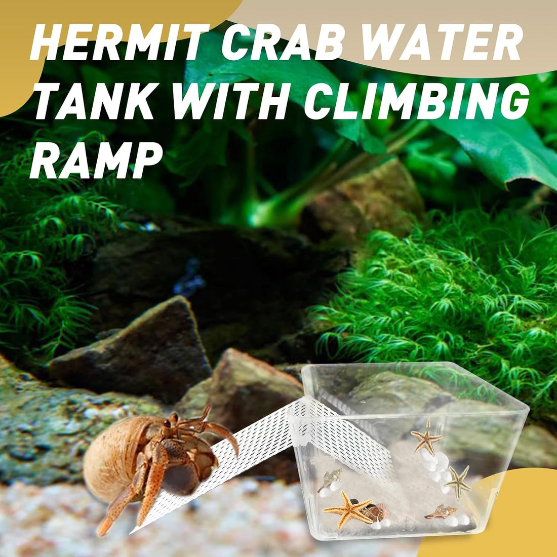 2 Packs Hermit Crab Pool - Ideal Hermit Crab Tank Combination
