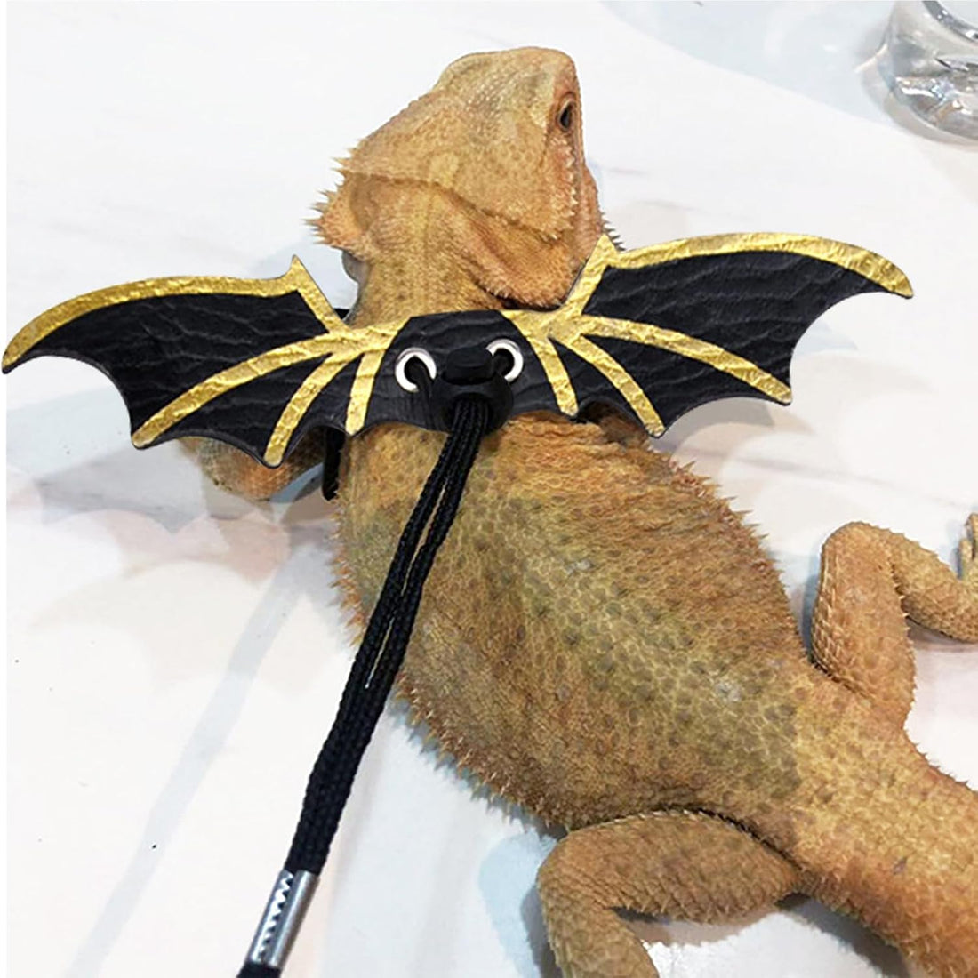3 Size Pack Bearded Dragon Leashes and Harnesses