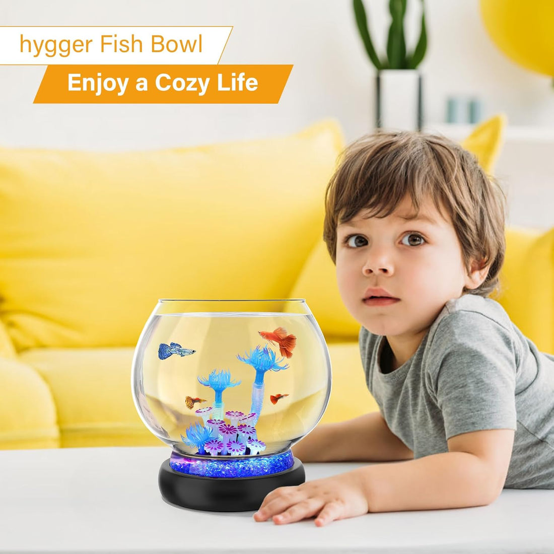 hygger 0.5 Gallon/1 Gallon Glass Fish Bowl with LED Light and Decor