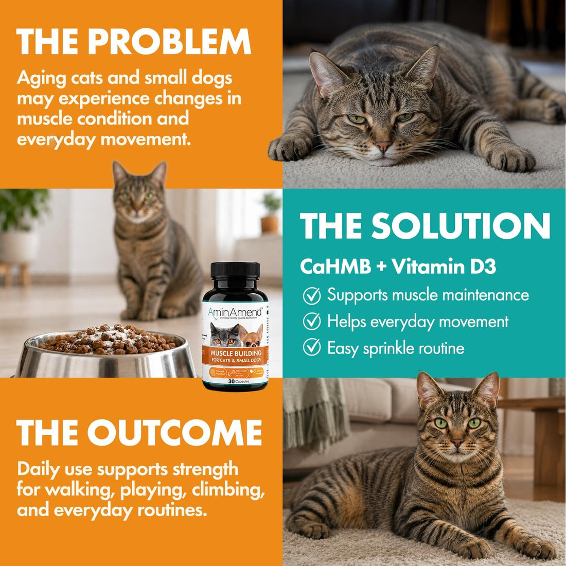 Small Dog & Cat CaHMB Muscle Support Capsules, Vitamin D3, 30 Ct