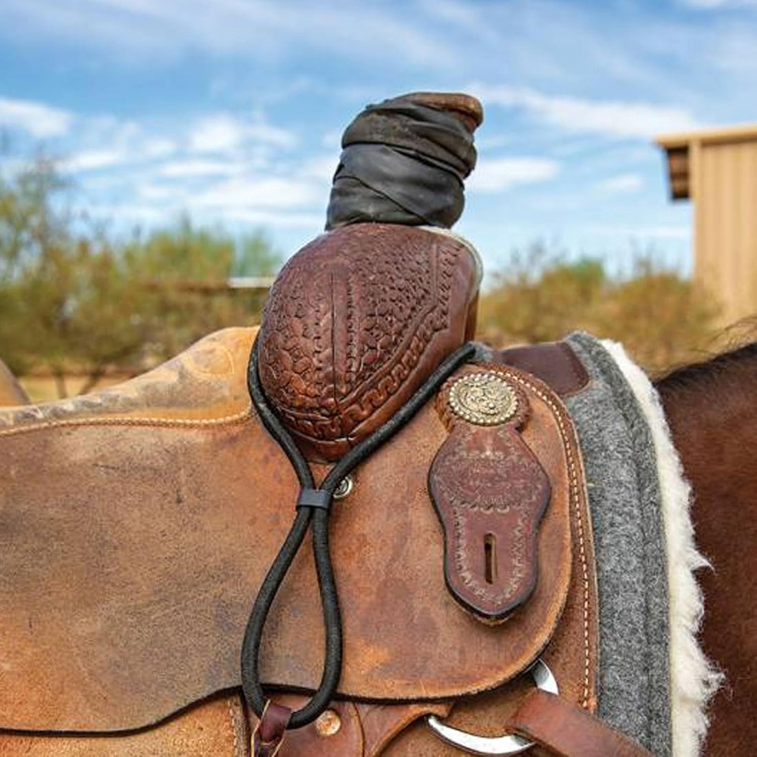 Professional's Choice Bungee Western Saddle Rope Holder