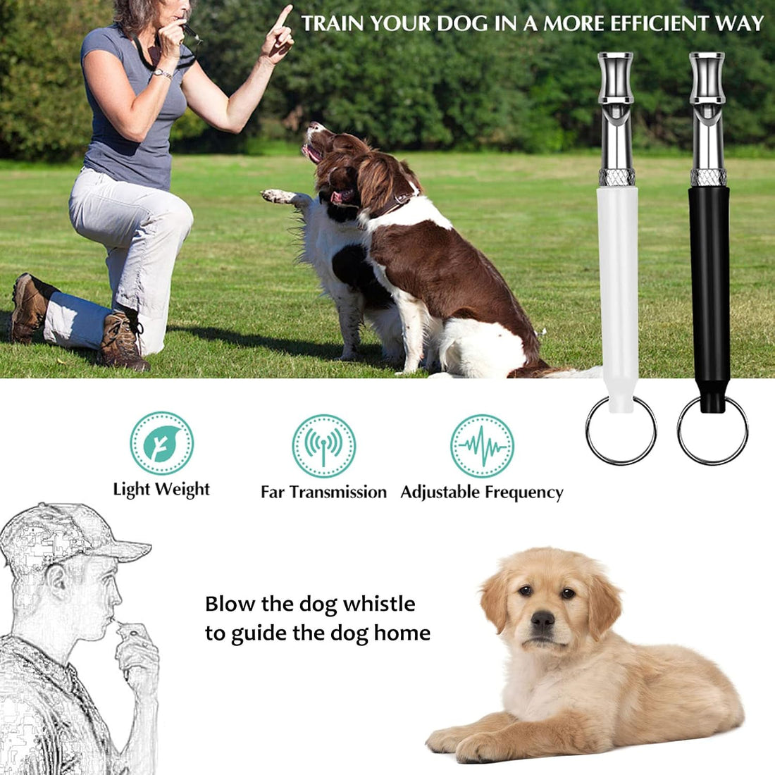 Premium Adjustable Ultrasonic Dog Whistle