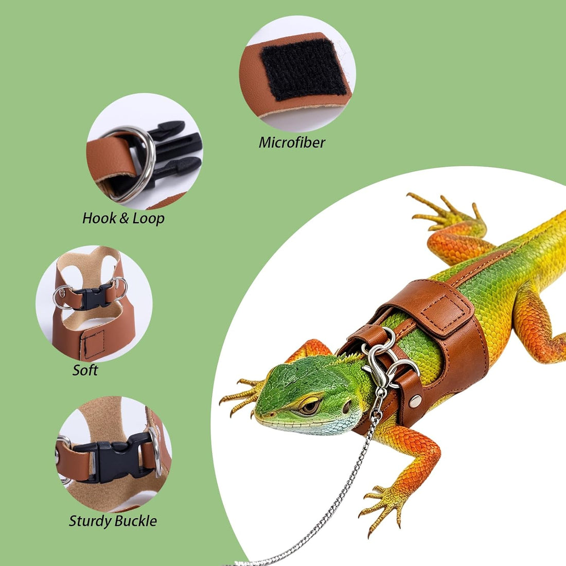 3Pack Bearded Dragon Leash and Harness Set