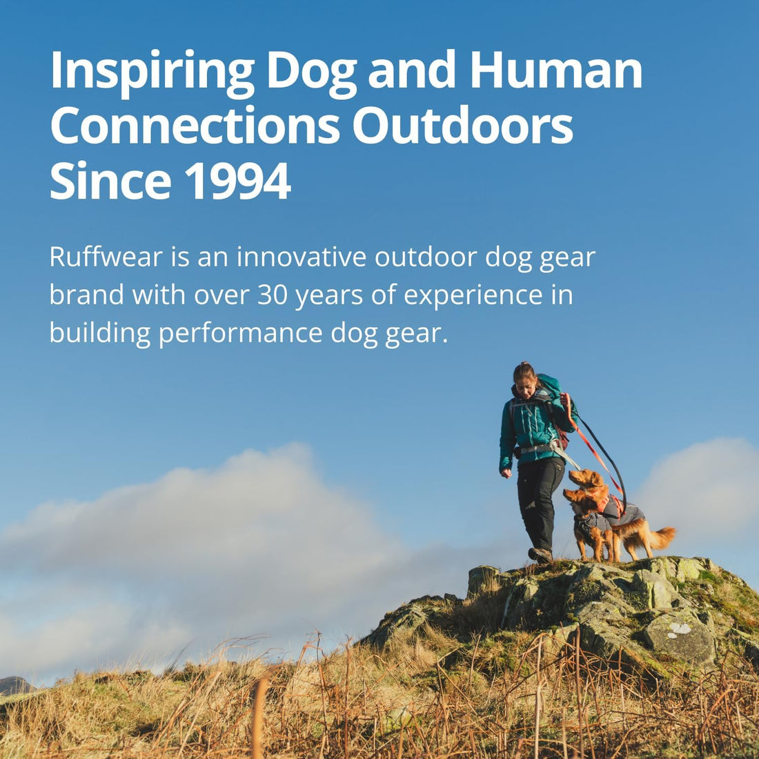 Ruffwear Palisades Dog Backpack