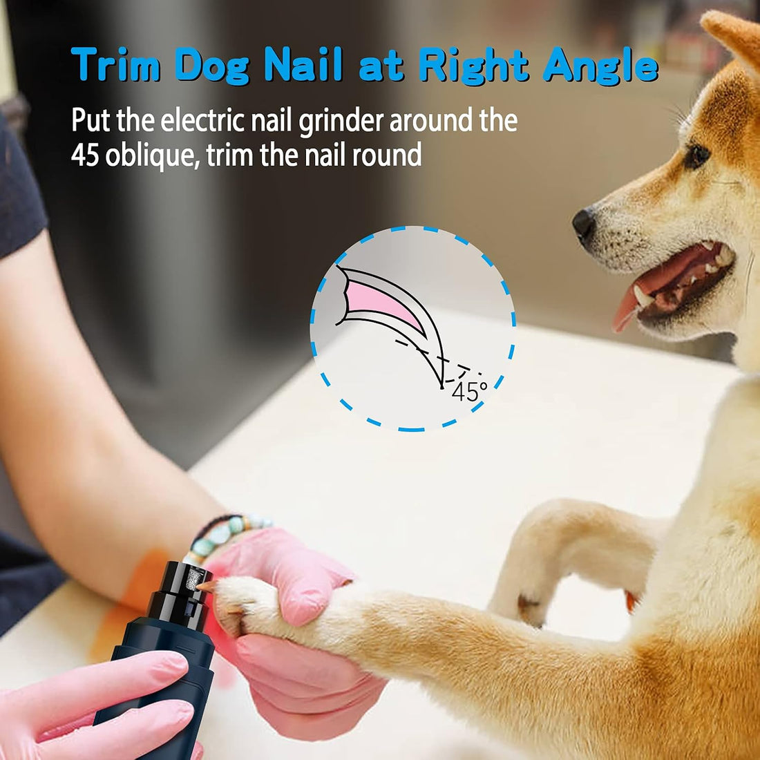 Casfuy Dog Nail Grinder Upgraded