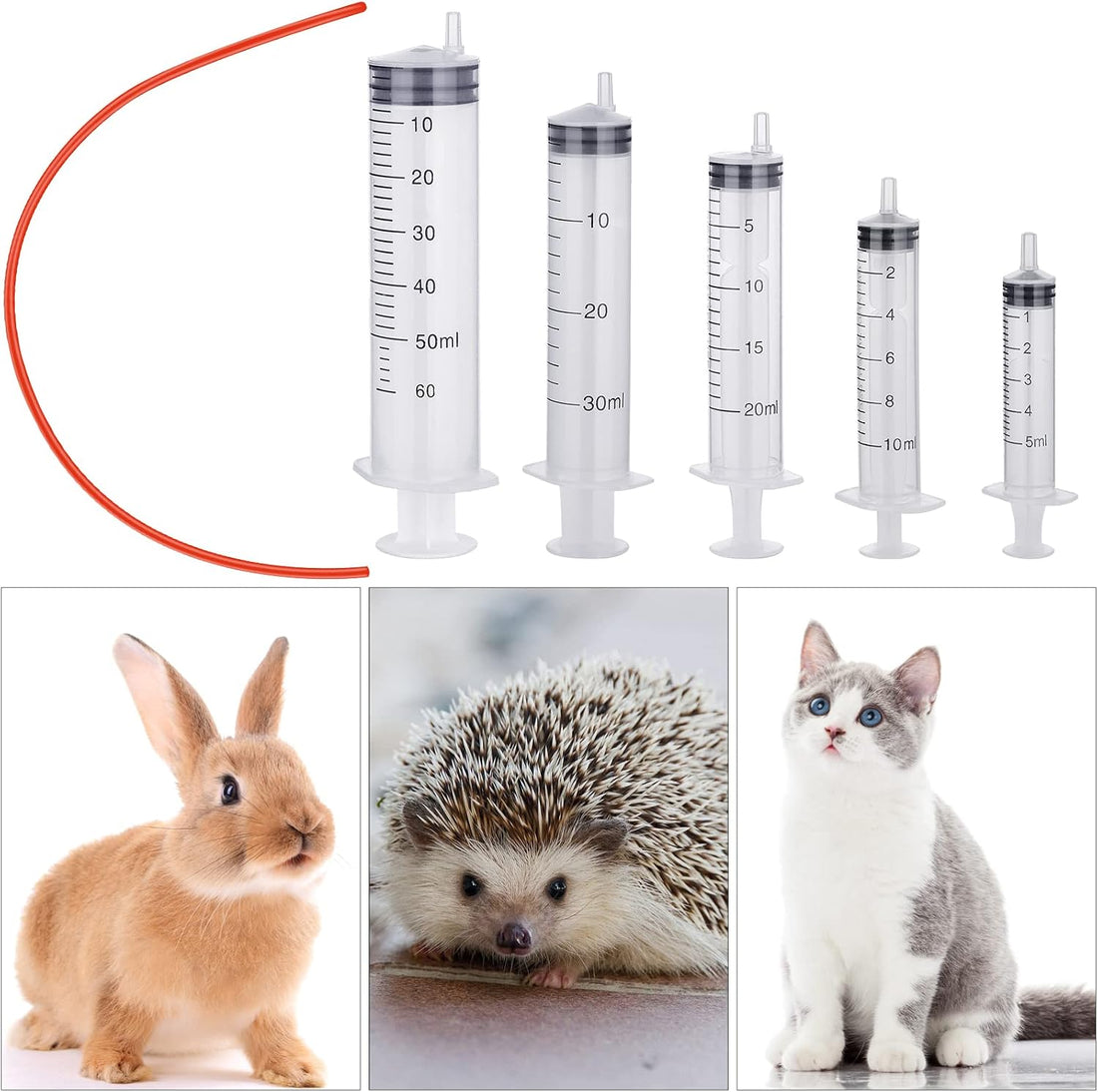 Jutom 10 Pack Puppy Kitten Feeding Tube Kit Include 5 Pack 8 FR Red