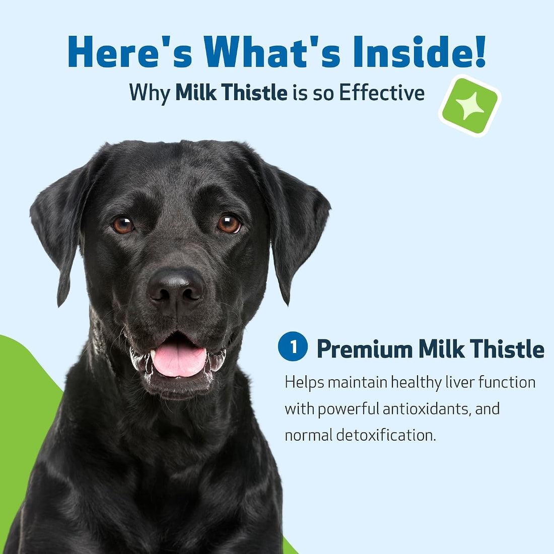 Pet Wellbeing Milk Thistle for Dogs - Organic Milk Thistle