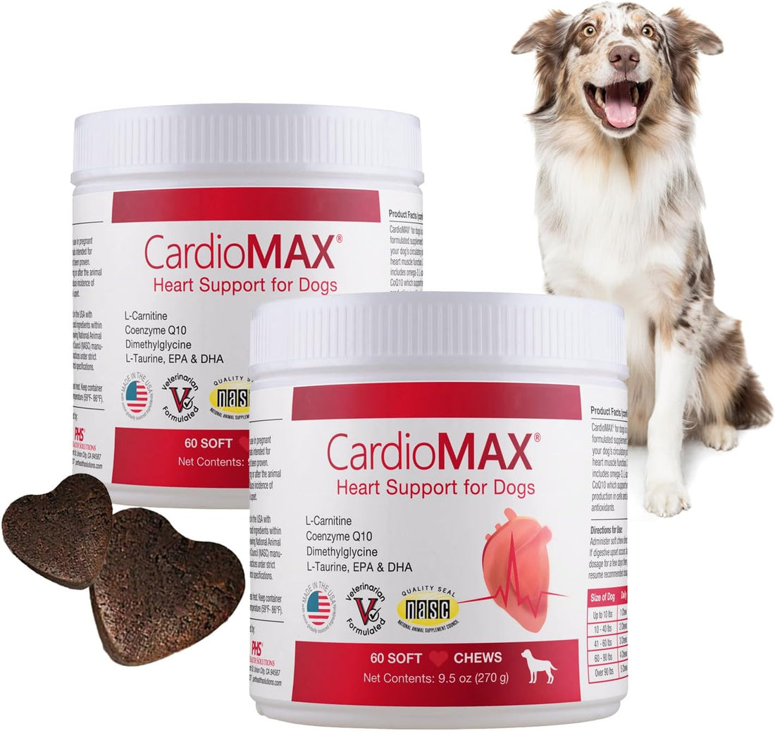 Heart Support Supplement for Dogs-Vet-Formulated