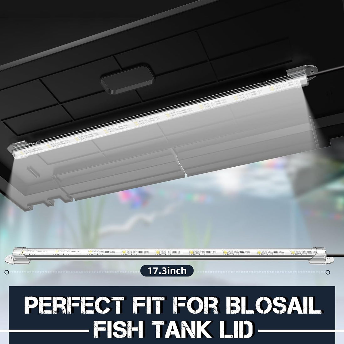 24X12 Inch Dimmable LED Light, Exclusive for Blosail Lids, Colorful