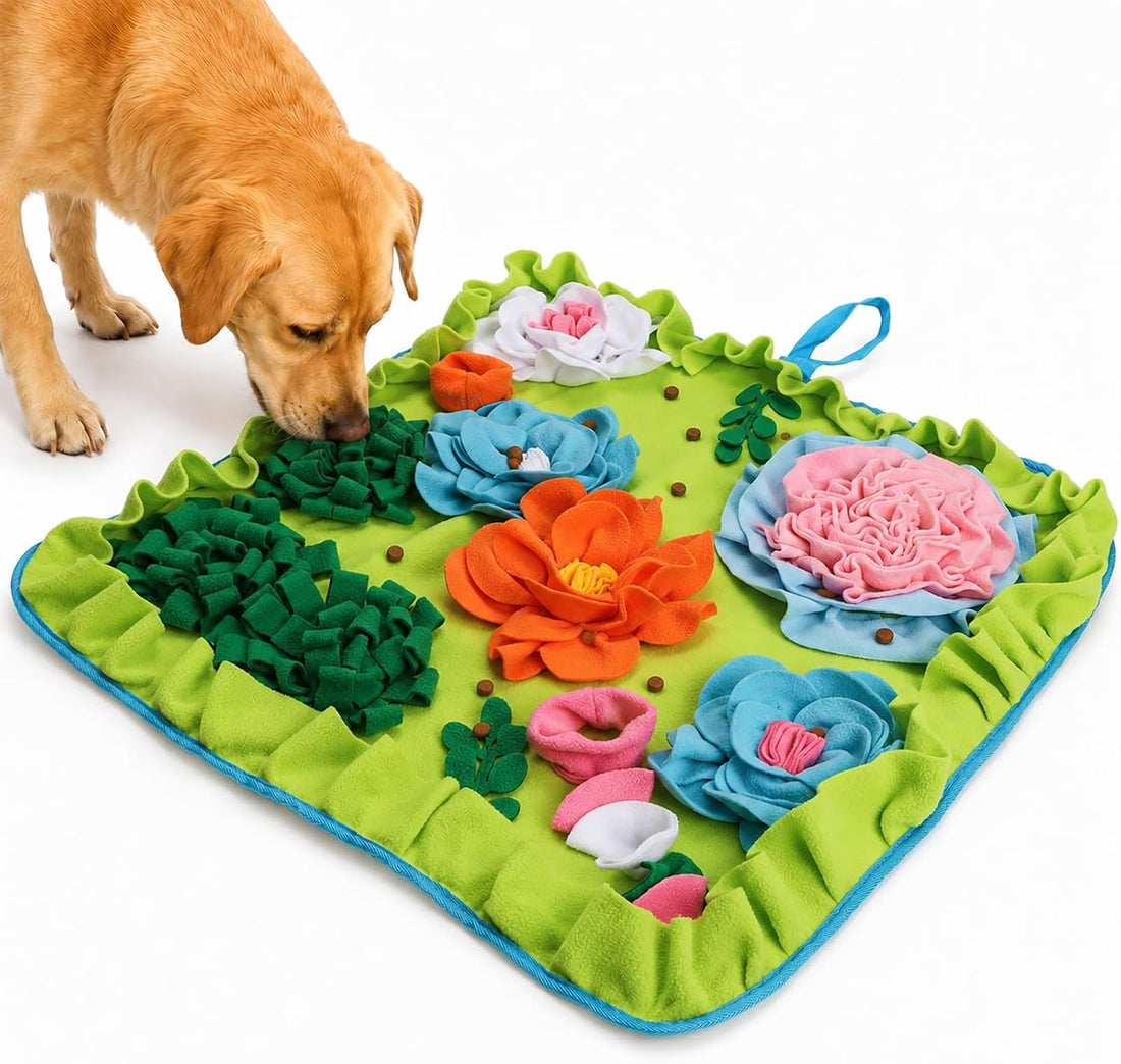 Vextronic Snuffle Mat for Dogs, Large Dogs Slow Feeder