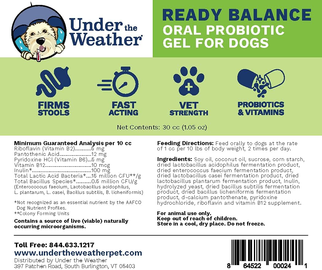 Under the Weather Pet | Ready Balance