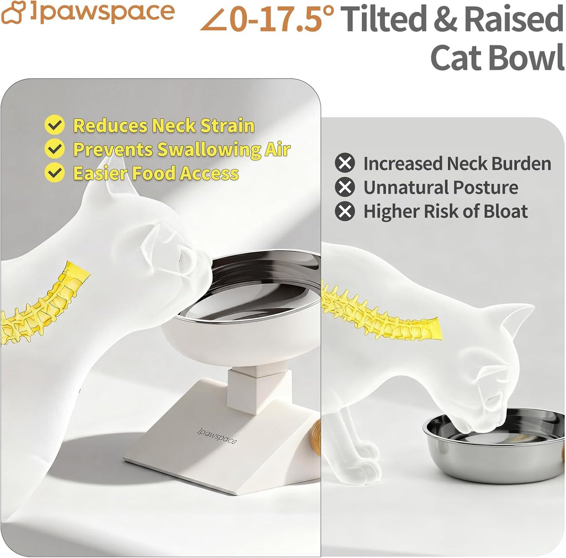Elevated Cat Bowl with Height Adjustable 0-17.5° Tilt Stand,White