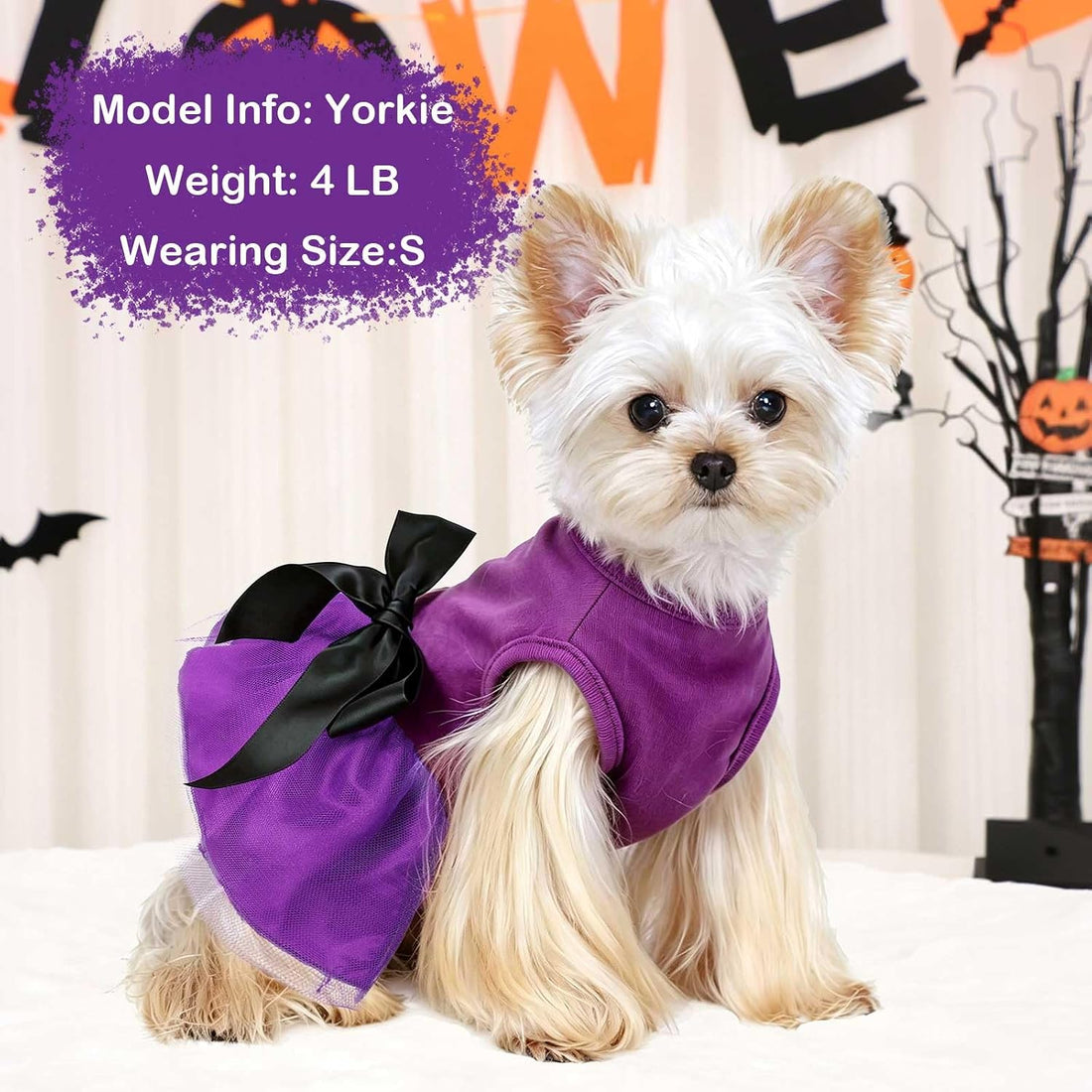 Halloween Dog Dress with Led Light,Small Dog Halloween