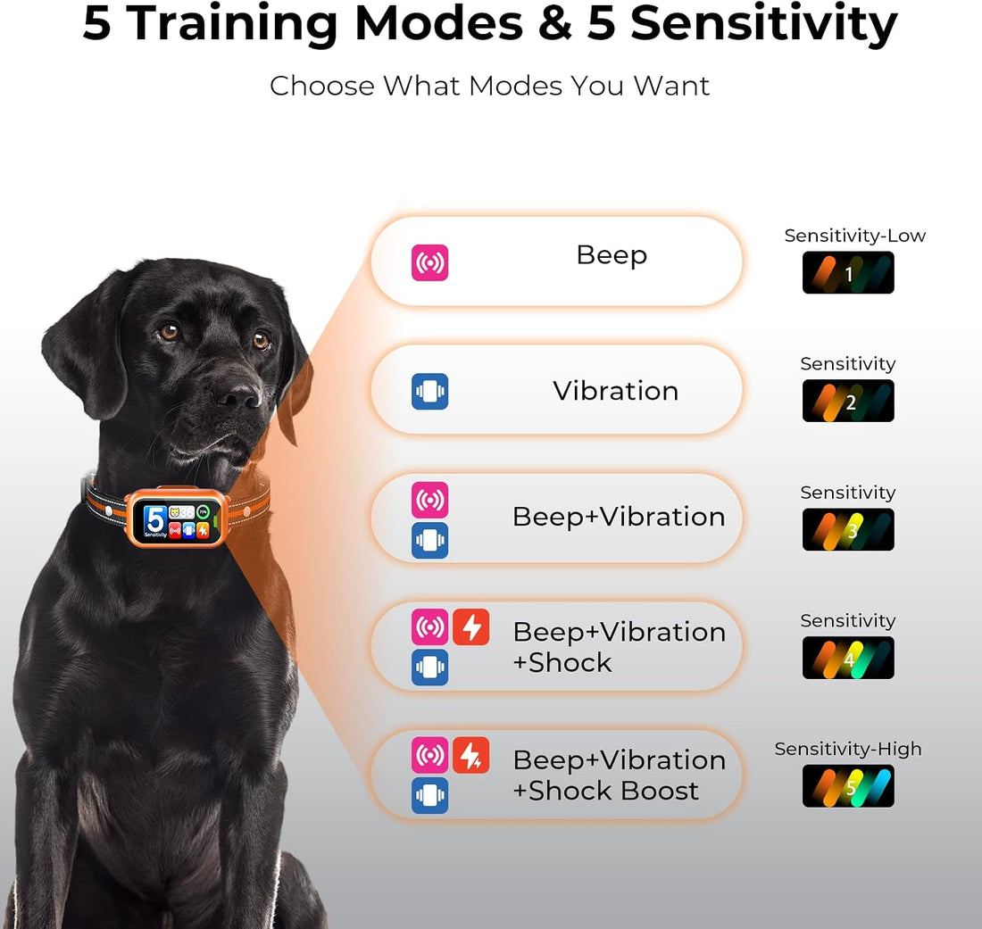Smart Dog Bark Collar for Small Medium Large Dog