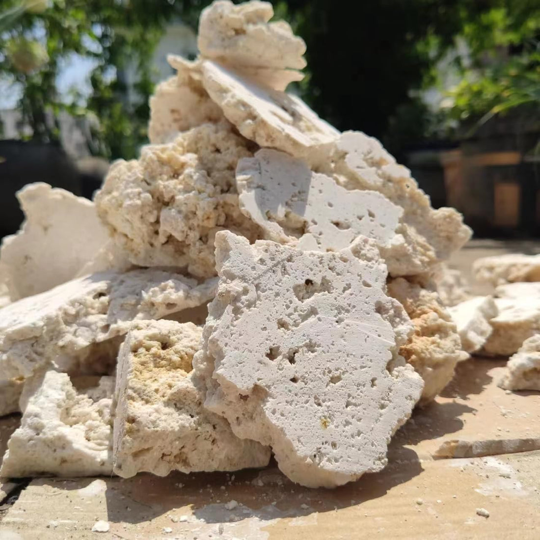 YZHZOM Dry Base Rock for Aquarium White Coral Ornament Sea Base Rocks
