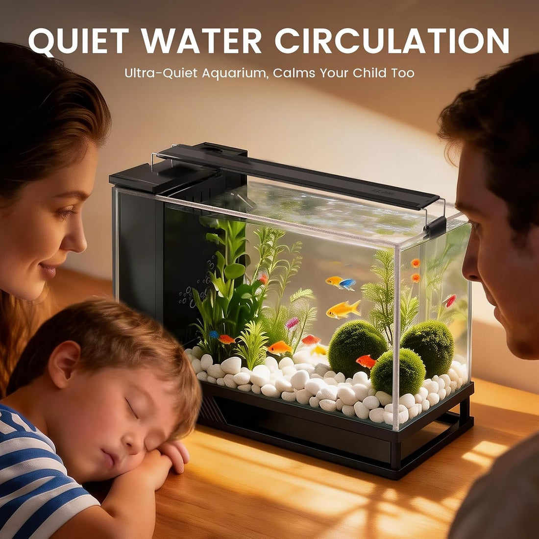 Fish Tank Kit Starter Aquariums 4 Gallon with Bottom Drainage