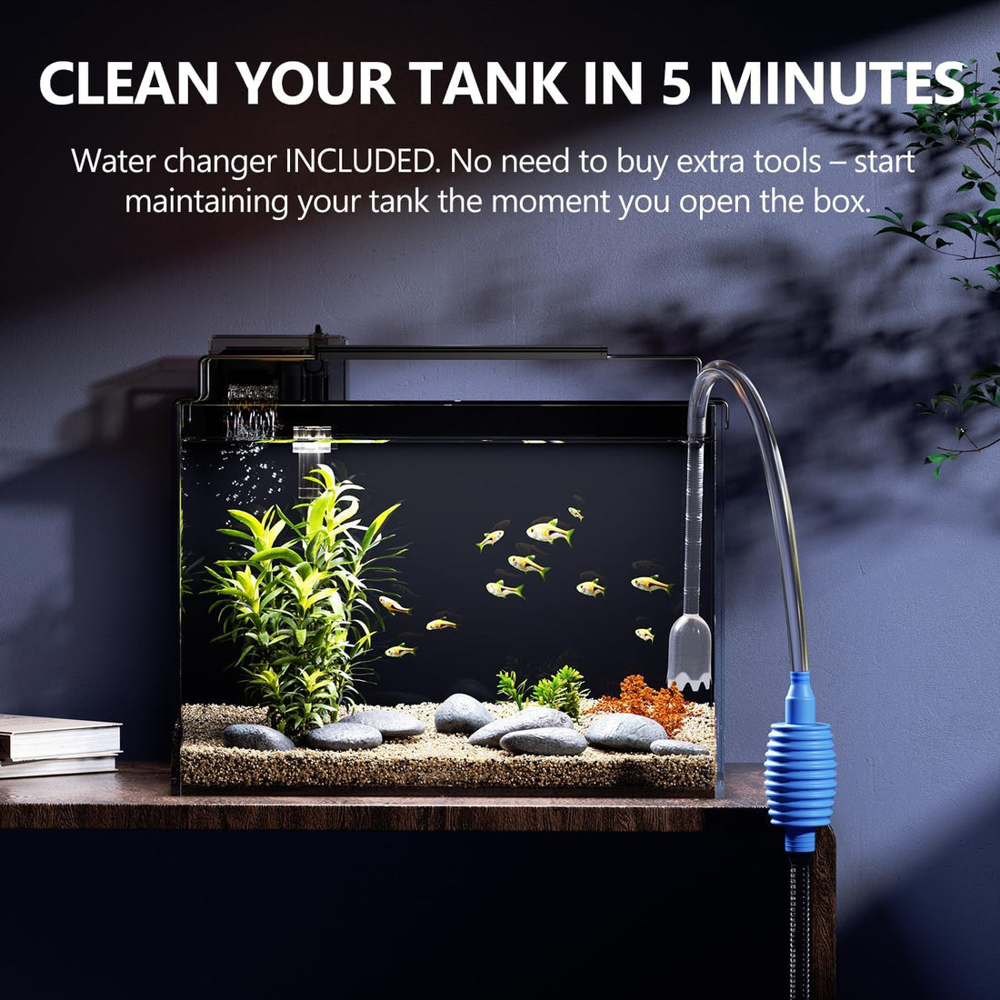 5 Gallon Fish Tank Kit with Filter Light with Timer, Lid Rimless Glass
