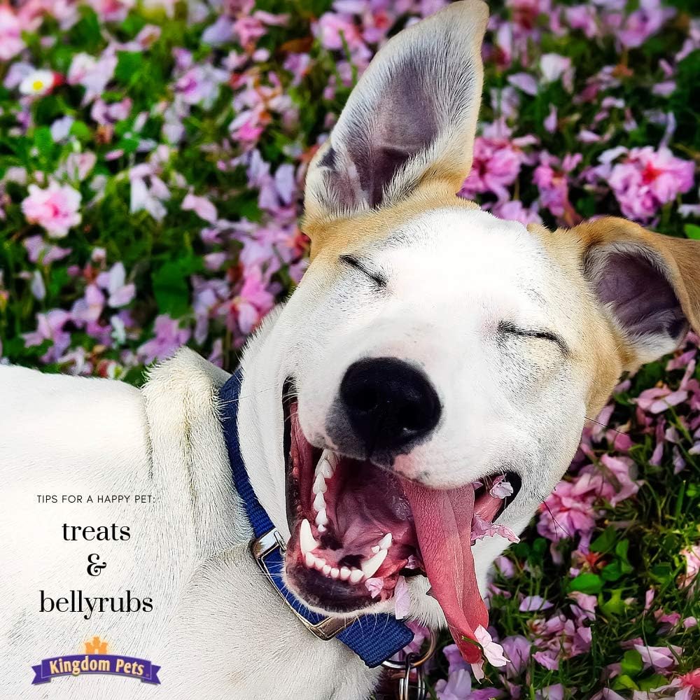 Kingdom Pets Duck Jerky & Sweet Potato Dog Treats with Only 4